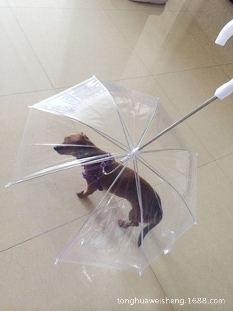 Pet supplies popular pet umbrellas, teddy small dog walking dog umbrellas with leash